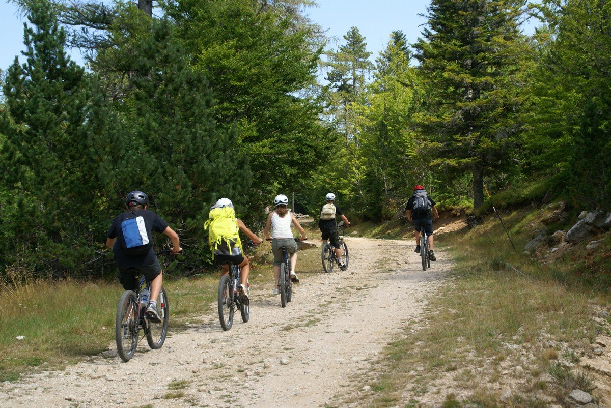 Personnes qui font du VTT sur un chemin